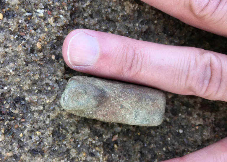 What Is A Petrified Finger?