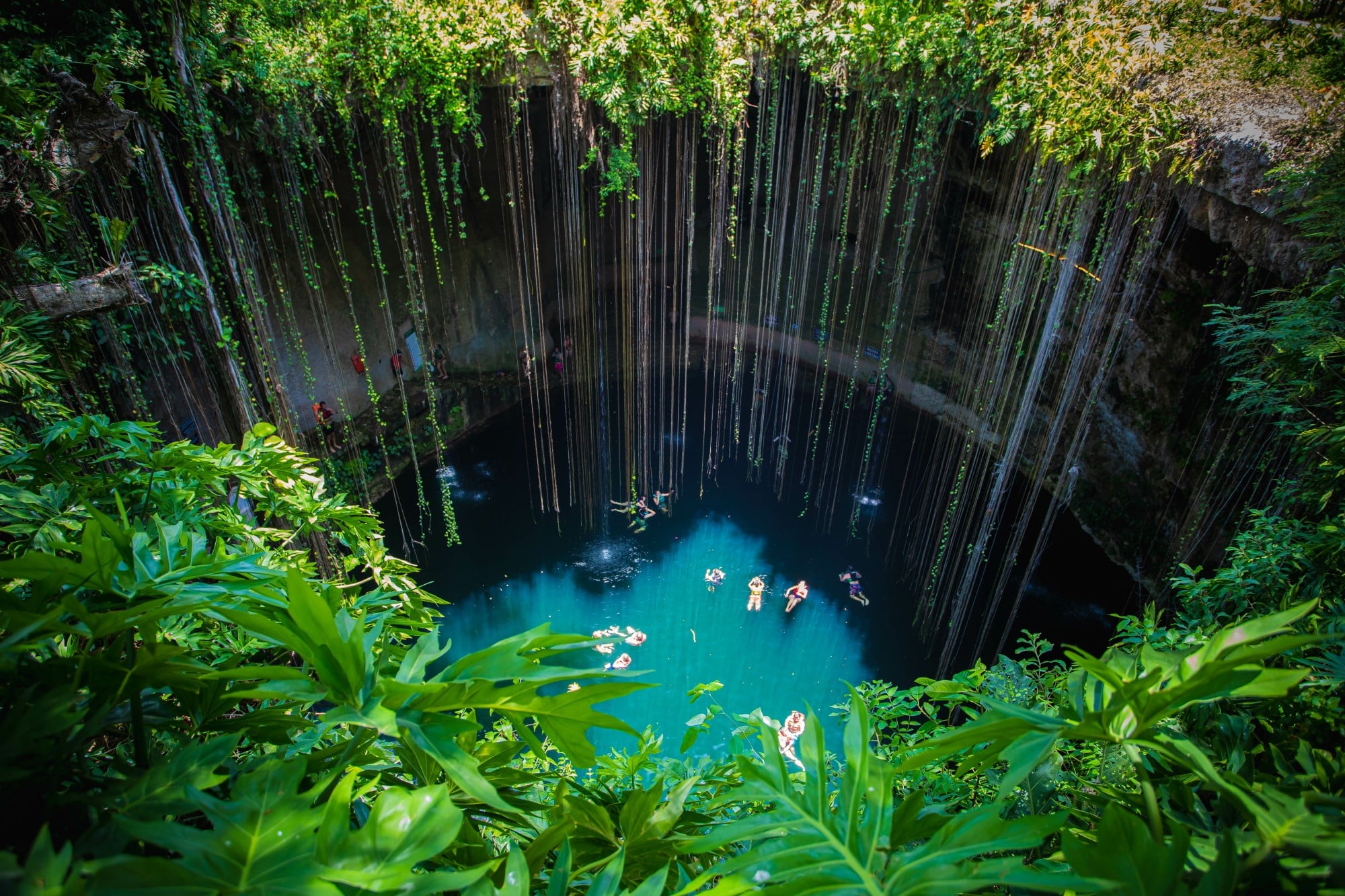 Mystical Cenotes