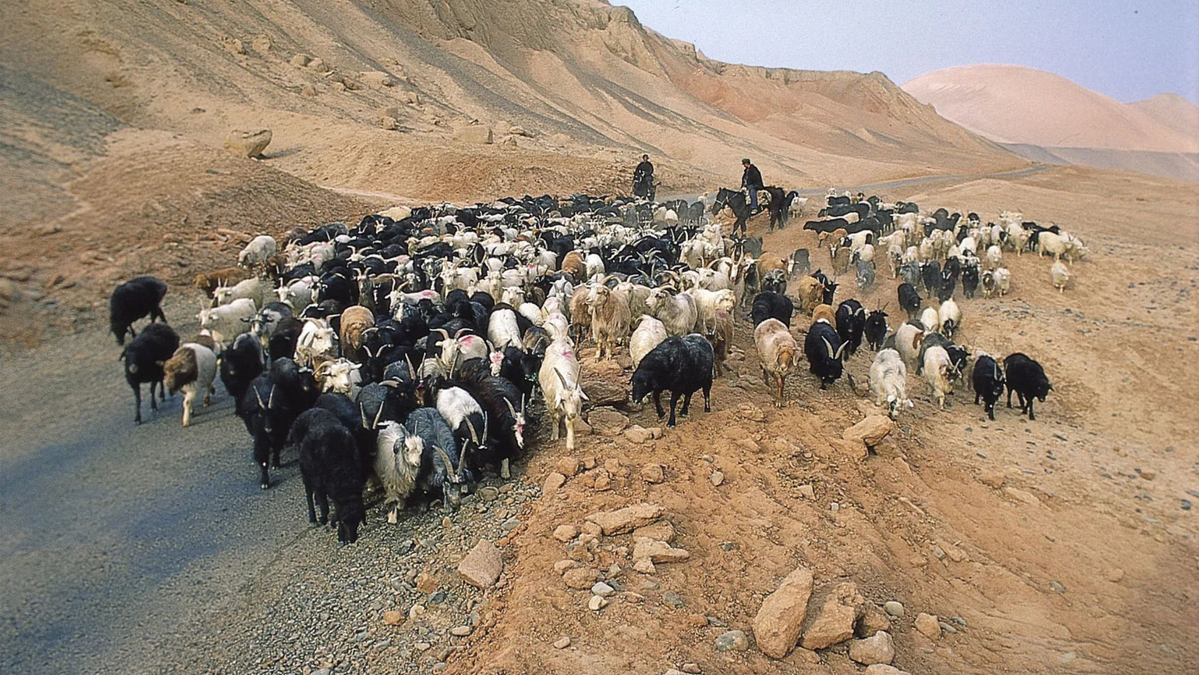 Taklamakan Desert