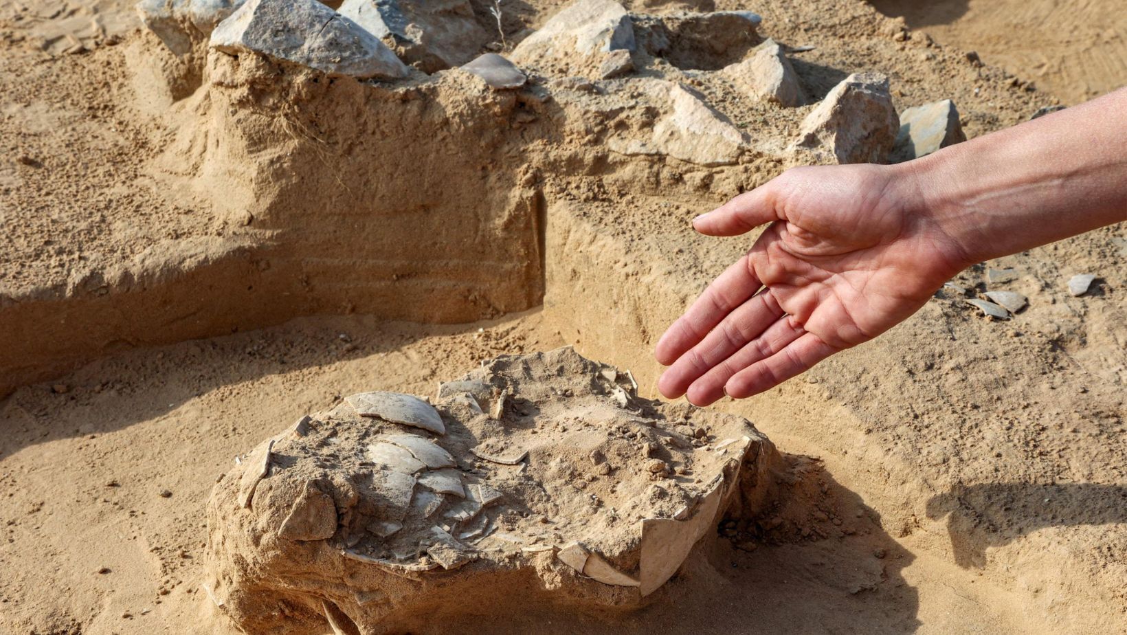 Ancient Ostrich Egg