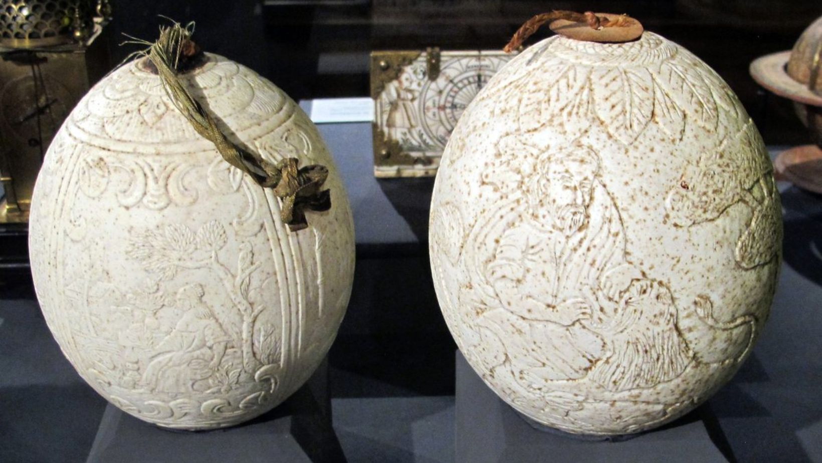 Ancient Ostrich Egg