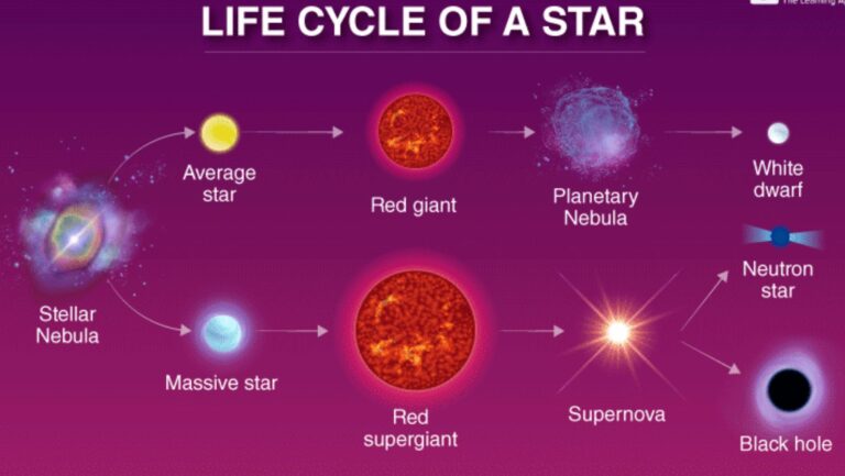 The Life Cycle of Stars: From Birth to Supernova
