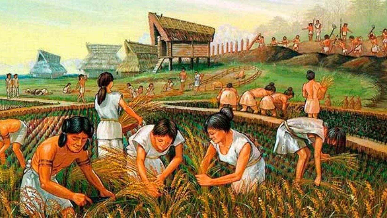 Agriculture and Innovation