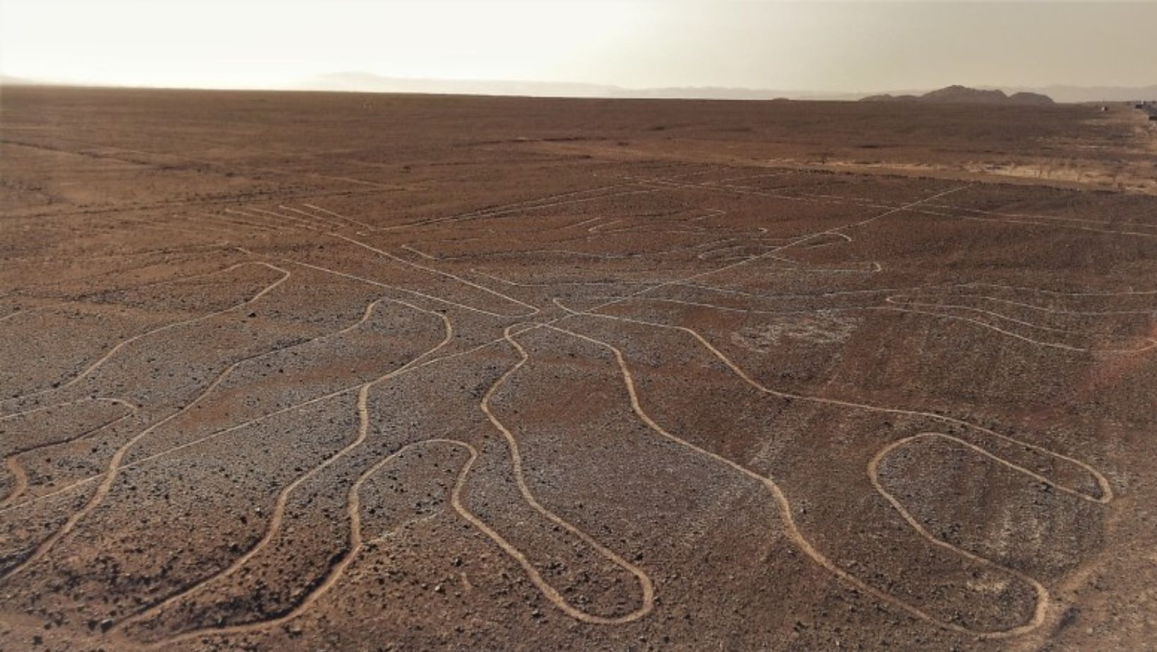 A Closer Look What Are the Nazca Lines | AncientPedia