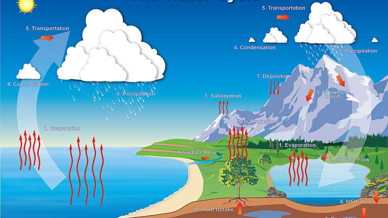 The Importance of Water Vapor and Oceanic Heat Storage