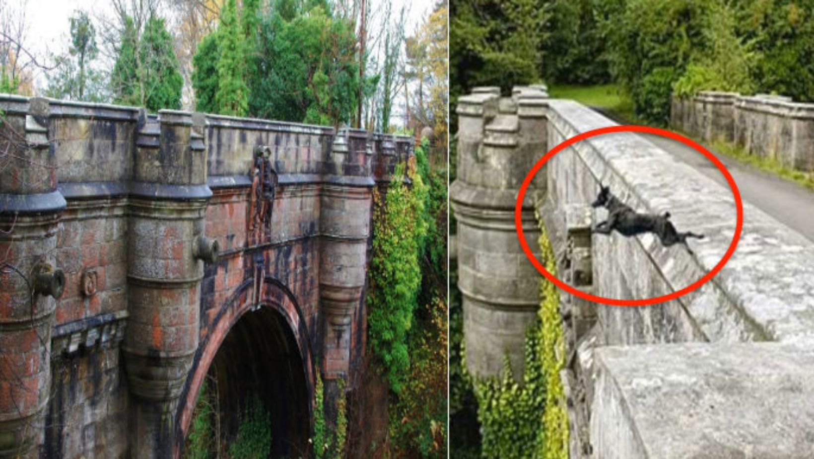 The Overtoun Bridge A Scottish Spot Where Dogs Mysteriously Leap to Their Deaths