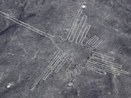 The Secrets of the Nazca Lines Main