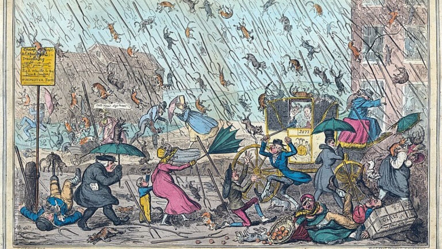 Raining Animals: What Causes This Strange Phenomenon?