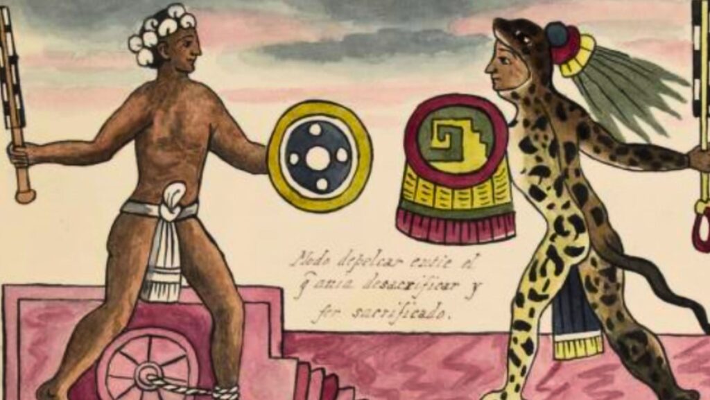 Tank Vs Aztec Aztec Warriors: Training, Weapons, and Battle Tactics