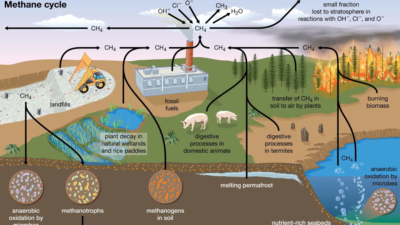 What Is Methane and Why Does It Matter