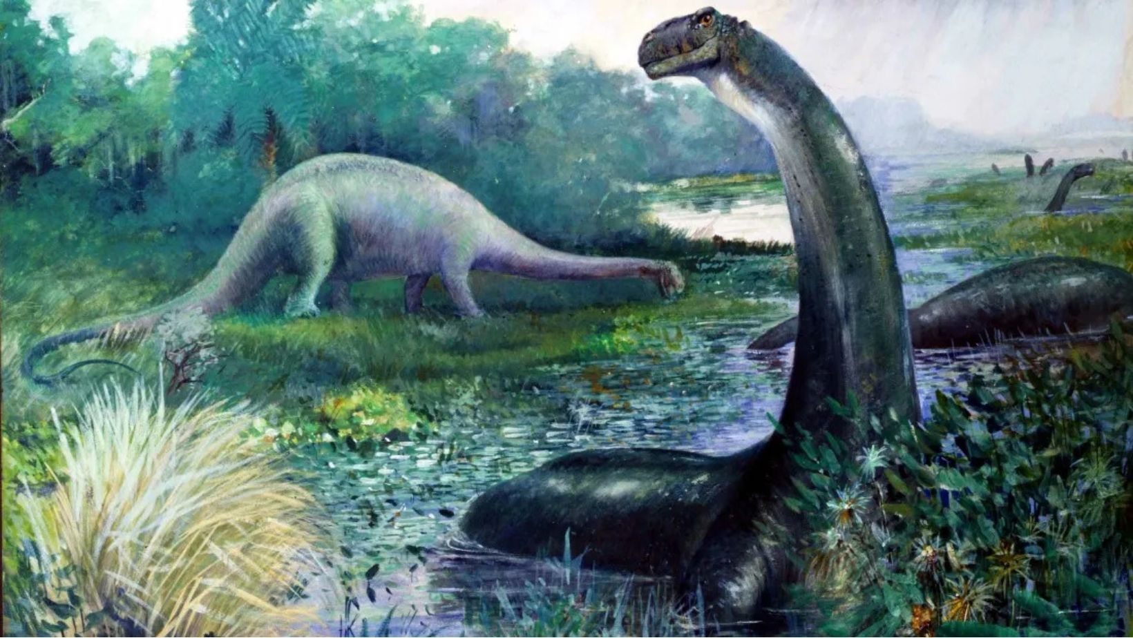 What Is the Mokele Mbembe