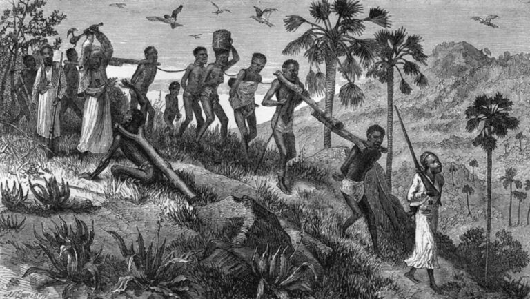 The Transatlantic Slave Trade: Human Suffering and Economic Gain