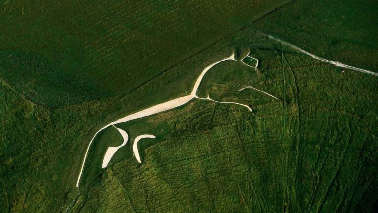 The Amazon Rainforest’s “Geoglyphs”: Ancient Artwork or Sacred Symbols?