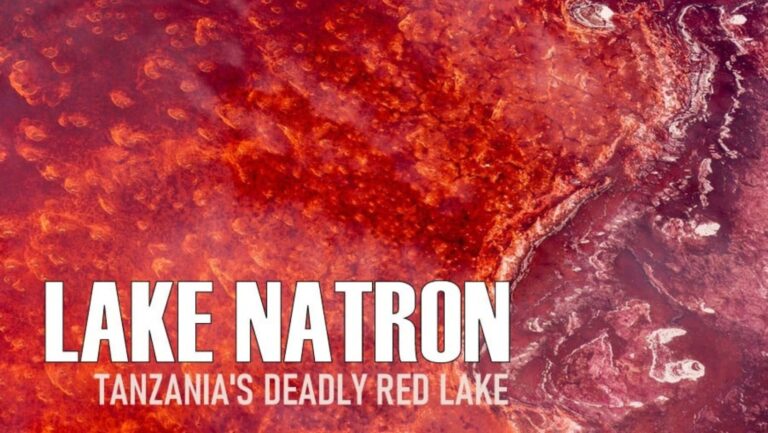 Lake Natron: The Deadly Beauty That Mummifies Animals