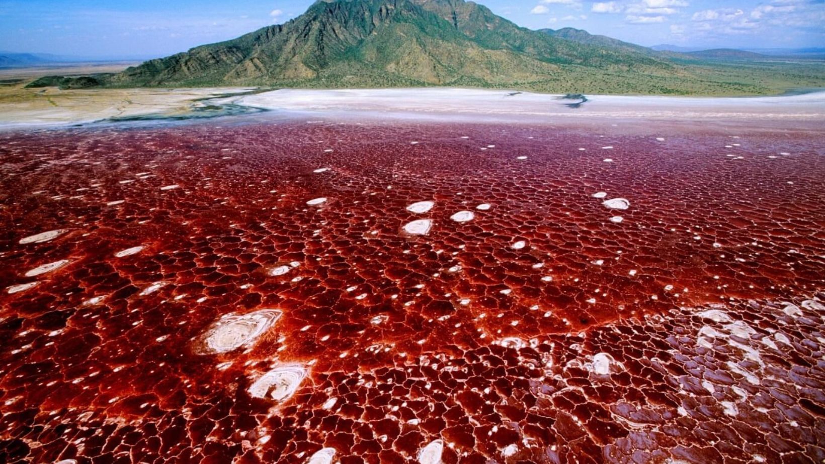 Lake Natron