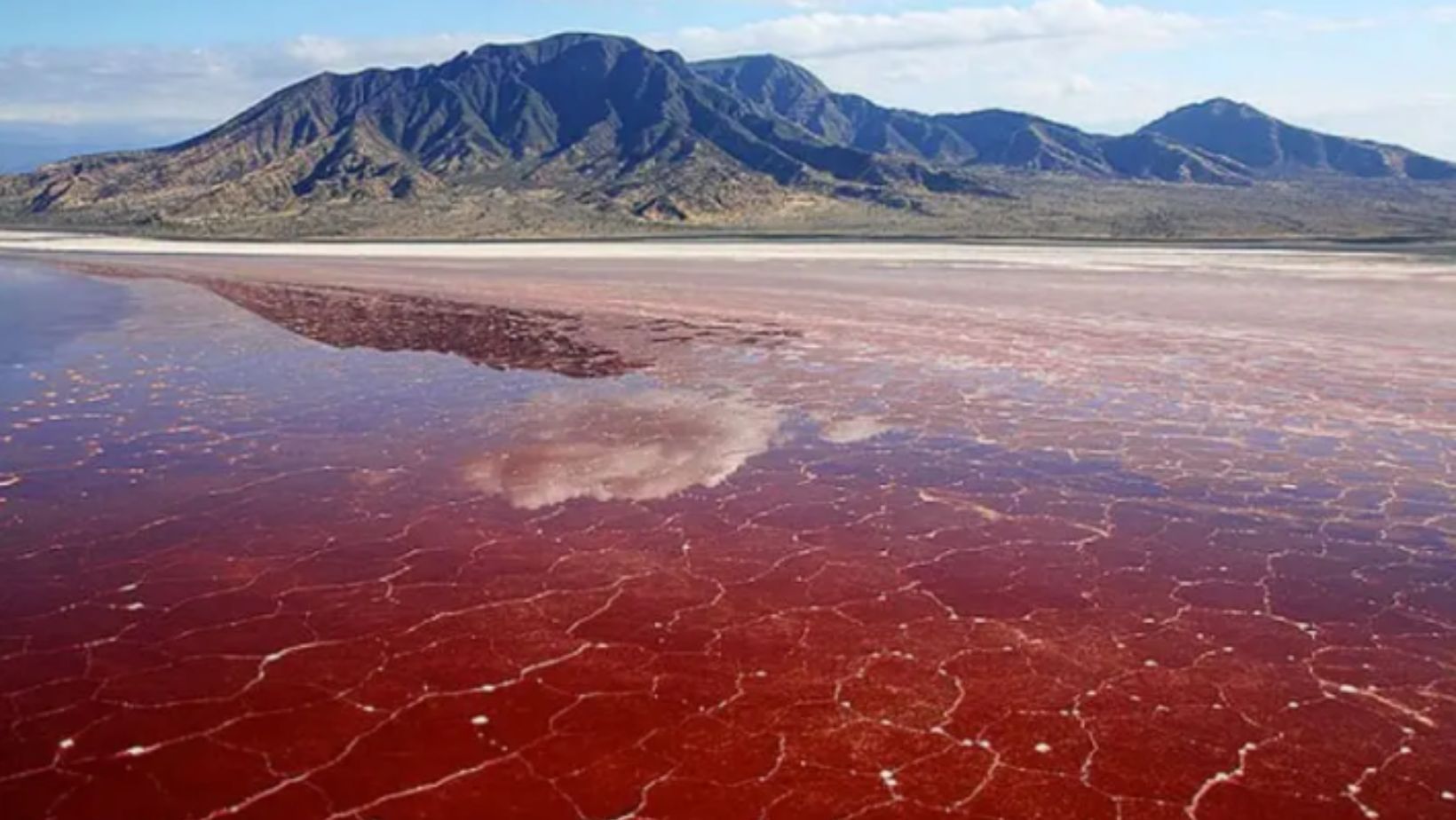 Lake Natron