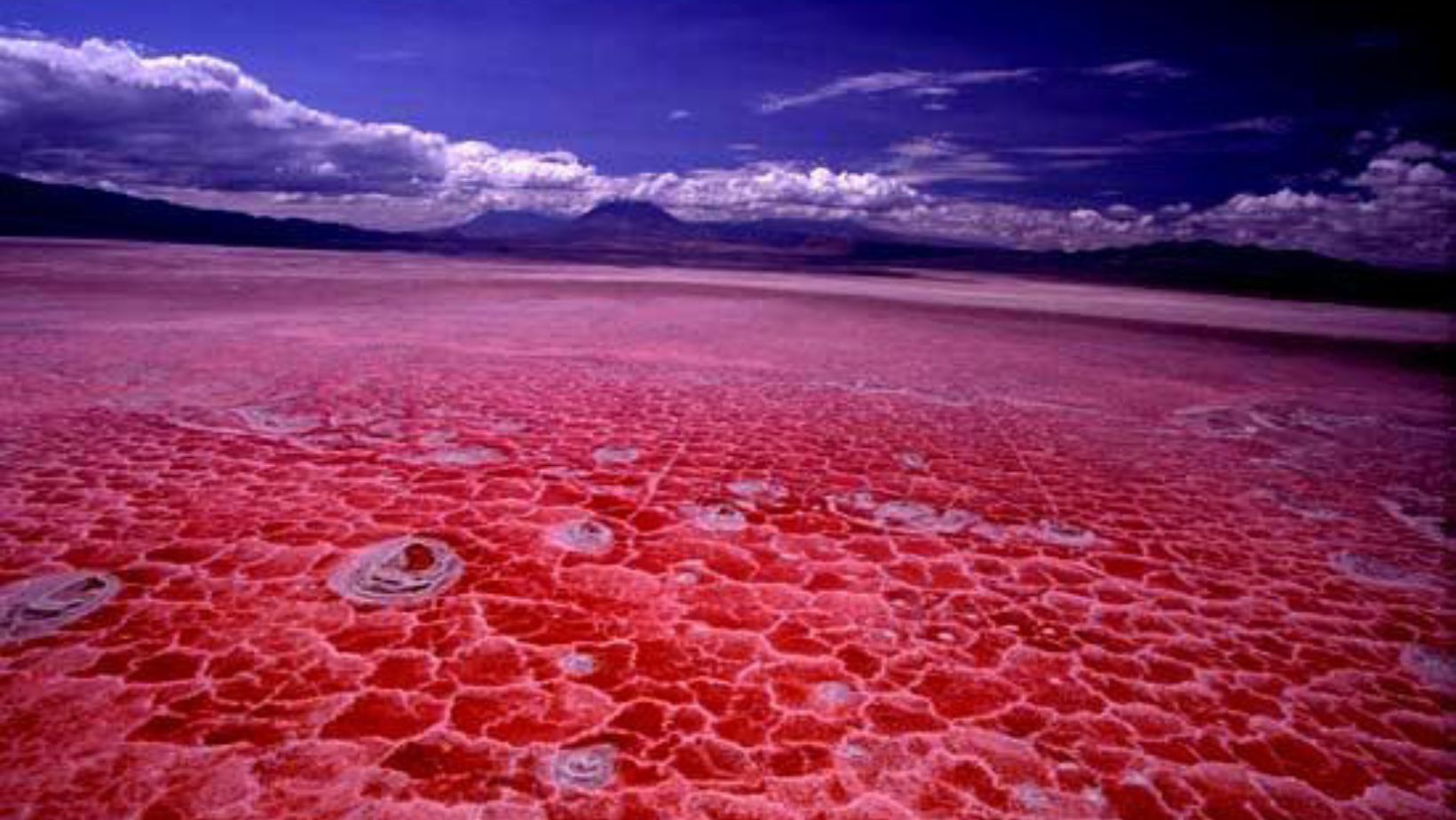 Lake Natron