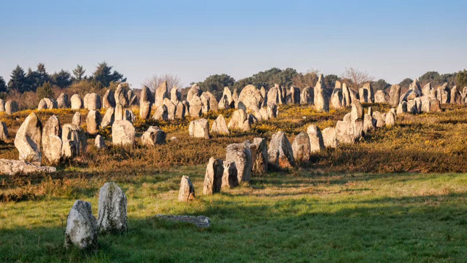 Carnac Stones