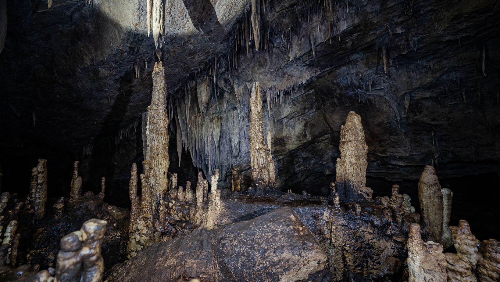 Tayos Caves